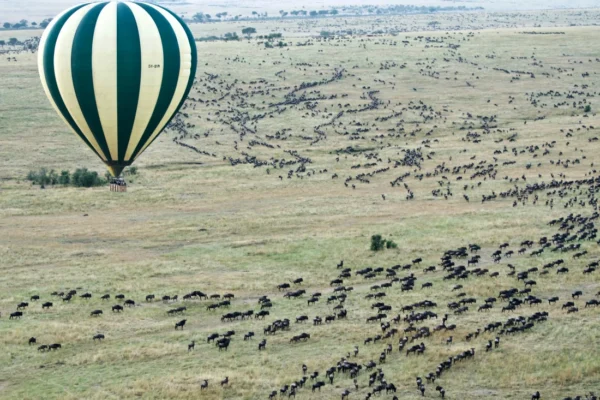 13 Days Kenya Luxury Wildlife Journey