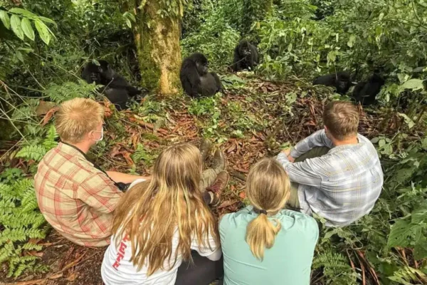 14 Days Best of Rwanda and Kenya Safari 14 Days Best of Rwanda and Kenya Safari