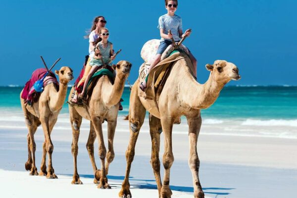 15 Days Kenya Wildlife and Coastal Safari