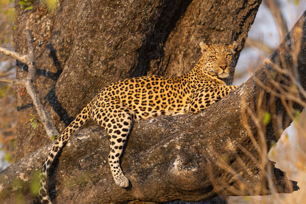 5-Day Ultimate Burundi Safari 5-Day Ultimate Burundi Safari