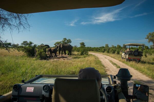 7 Days Uganda Game Drives & Gorilla Safari