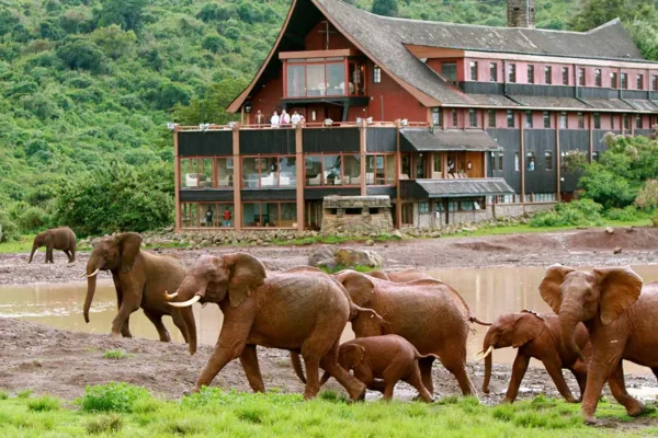 9-Day Luxury Big Kenya Safari Holiday