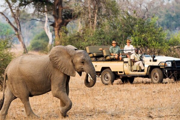 9-Day Special Kenya Rwanda Safari Adventure 9-Day Special Kenya Rwanda Safari Adventure