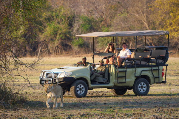 Game Drive.. Guided Game Drives