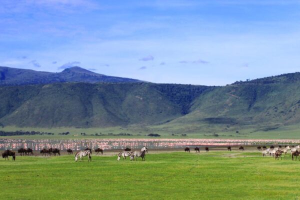 Ngorongoro Conservation Crater