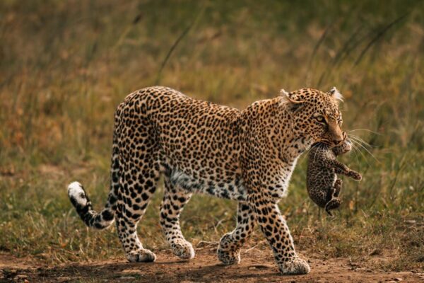 9-Day Tanzania Adventure Safari