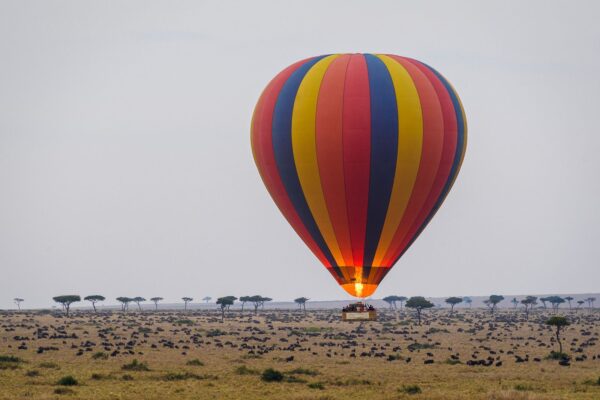 balloon Hot Air Balloon Rides