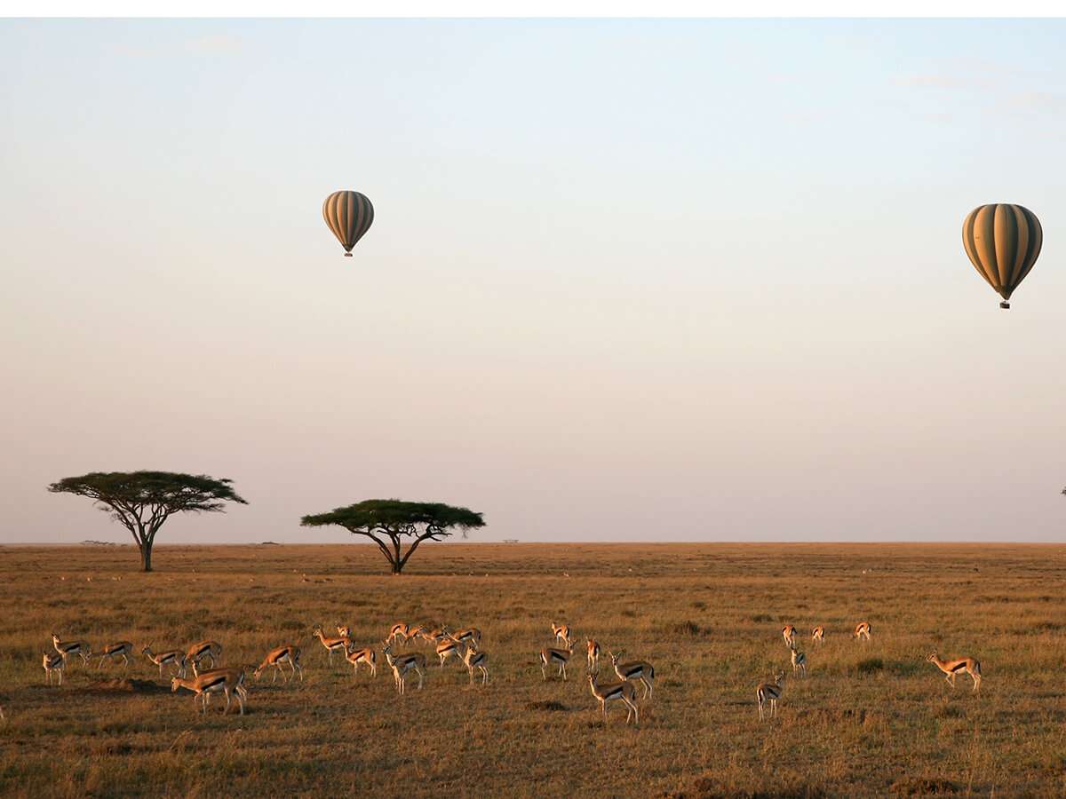 Hot Air Balloon Rides