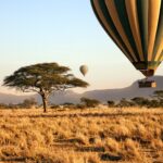 costs for Tanzania safari 2026/27