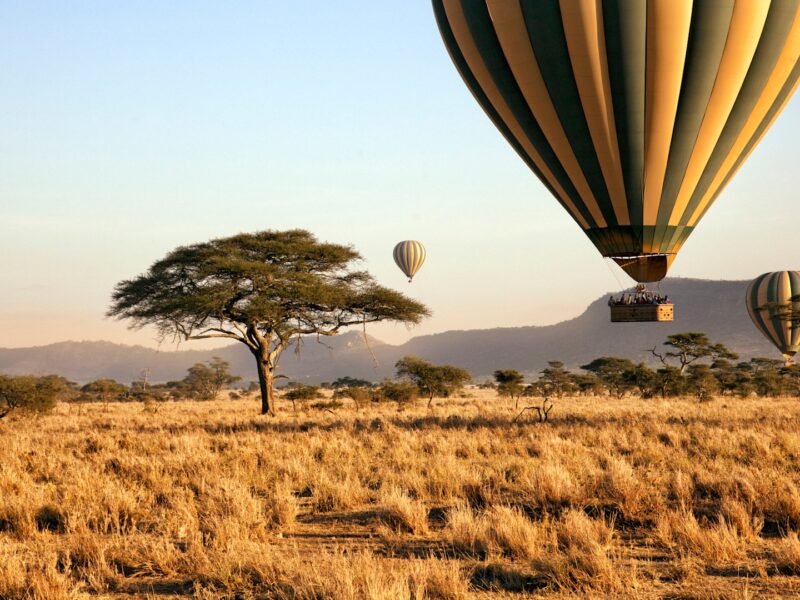 costs for Tanzania safari 2026/27