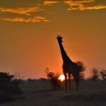 Interesting Facts About Tanzania2026/27