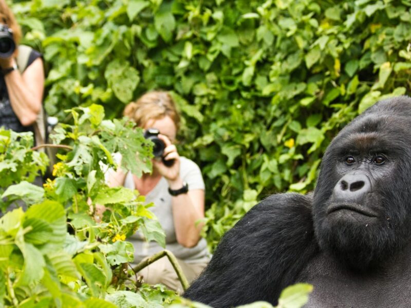 Uganda for children travelers 2026/27