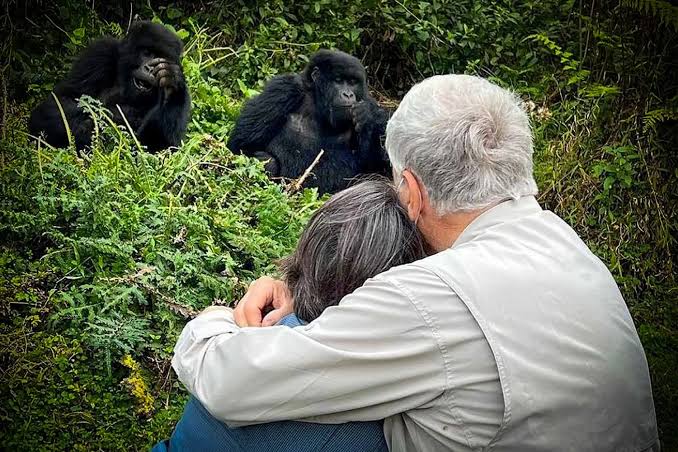 Places for gorilla trekking 2026/27